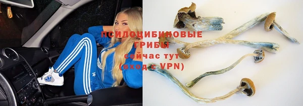 mdpv Лихославль