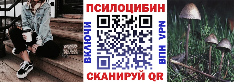 Купить где  Люберцы  Галлюциногенные грибы MAGIC MUSHROOMS 